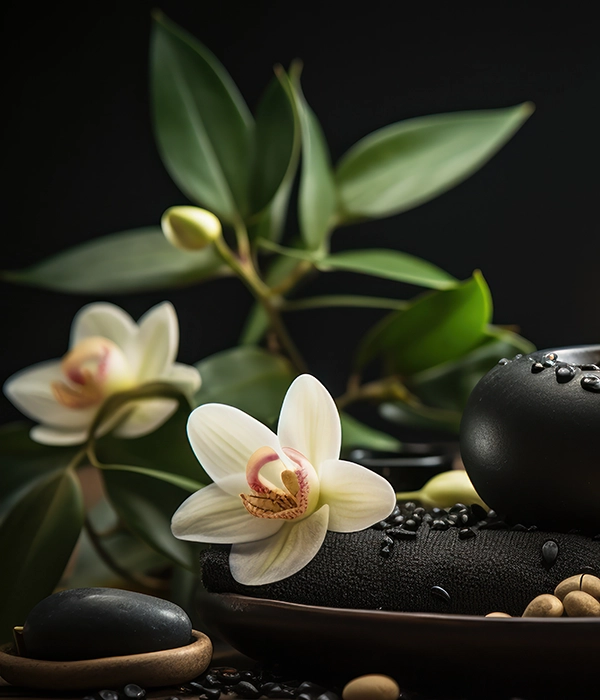 ambiance massage avec pierres noires et orchidées